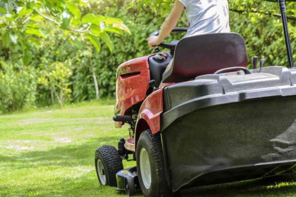 Peut-on tondre le dimanche ? Règles et conseils pour le jardinage dominical