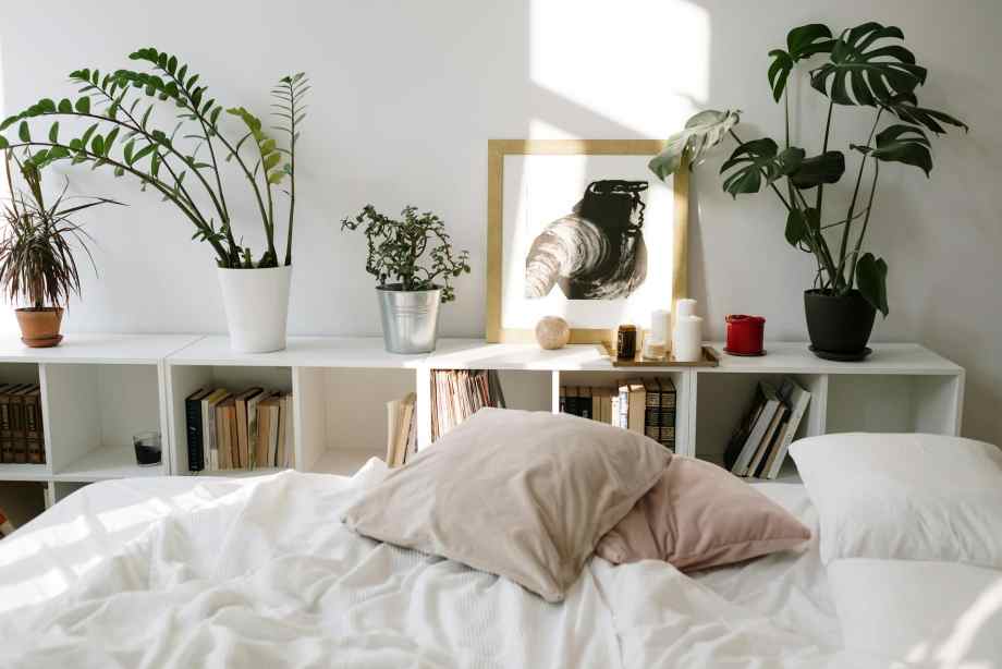 Quelles plantes mettre dans une chambre pour mieux dormir ?-CACE Maison