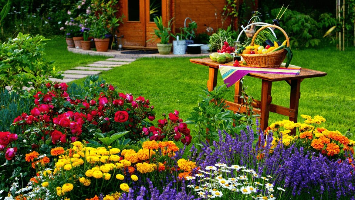 Garden hosting, perennial border, gazebo