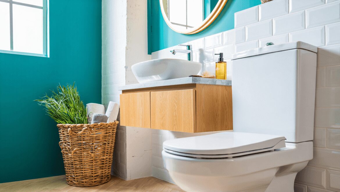 Downstairs toilet ideas: how to design a loo with character
