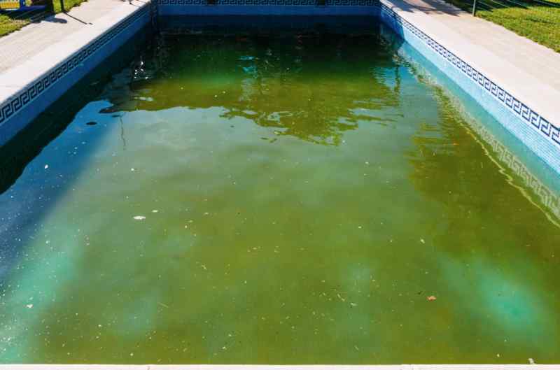 Comment rattraper une eau verte de piscine rapidement et durablement ? CACE Maison