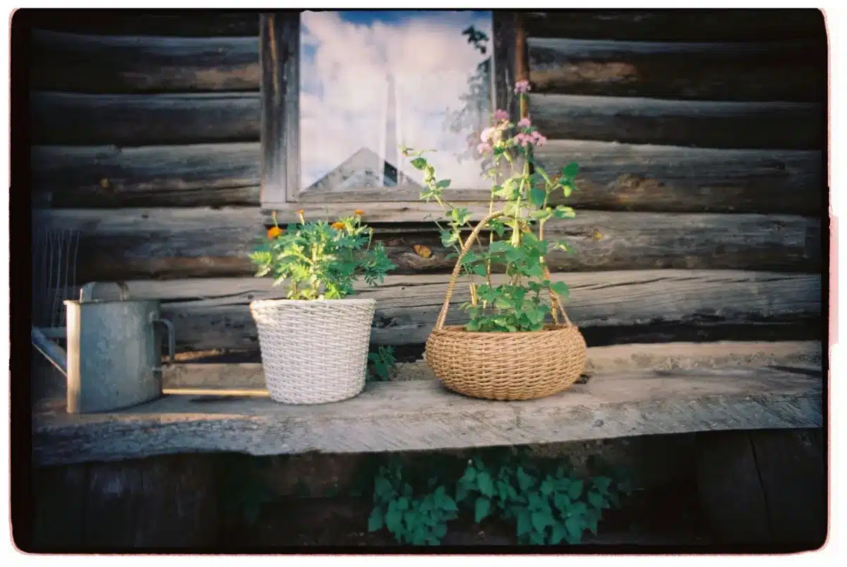 Détails d'un jardin de campagne avec imprimés floraux et matériaux naturels