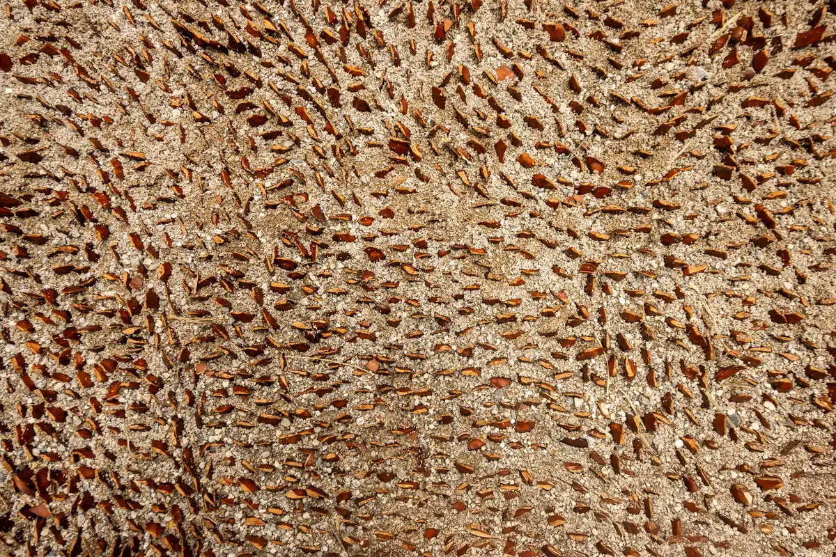 Matériaux naturels : panneaux de liège, bois et fibres végétales montrant leurs textures distinctives.