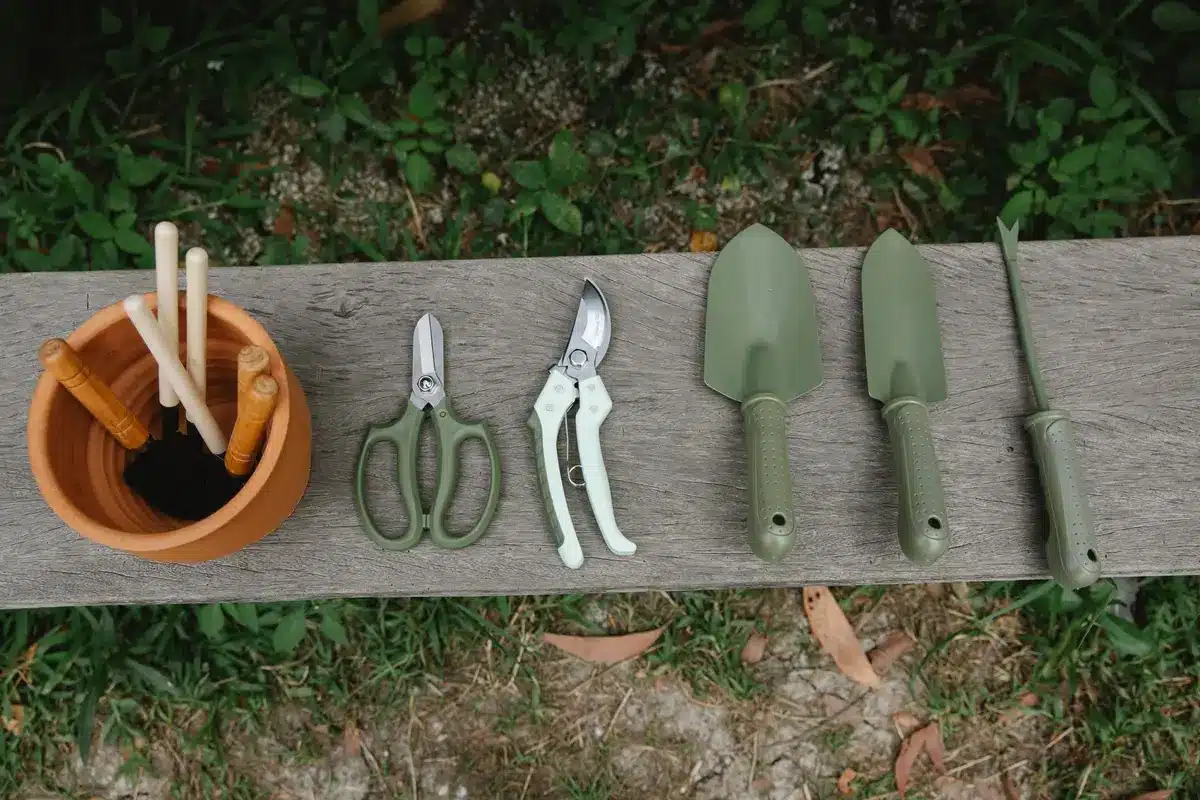 Outils et matériaux de bouturage : sécateur, petits pots et substrat drainant