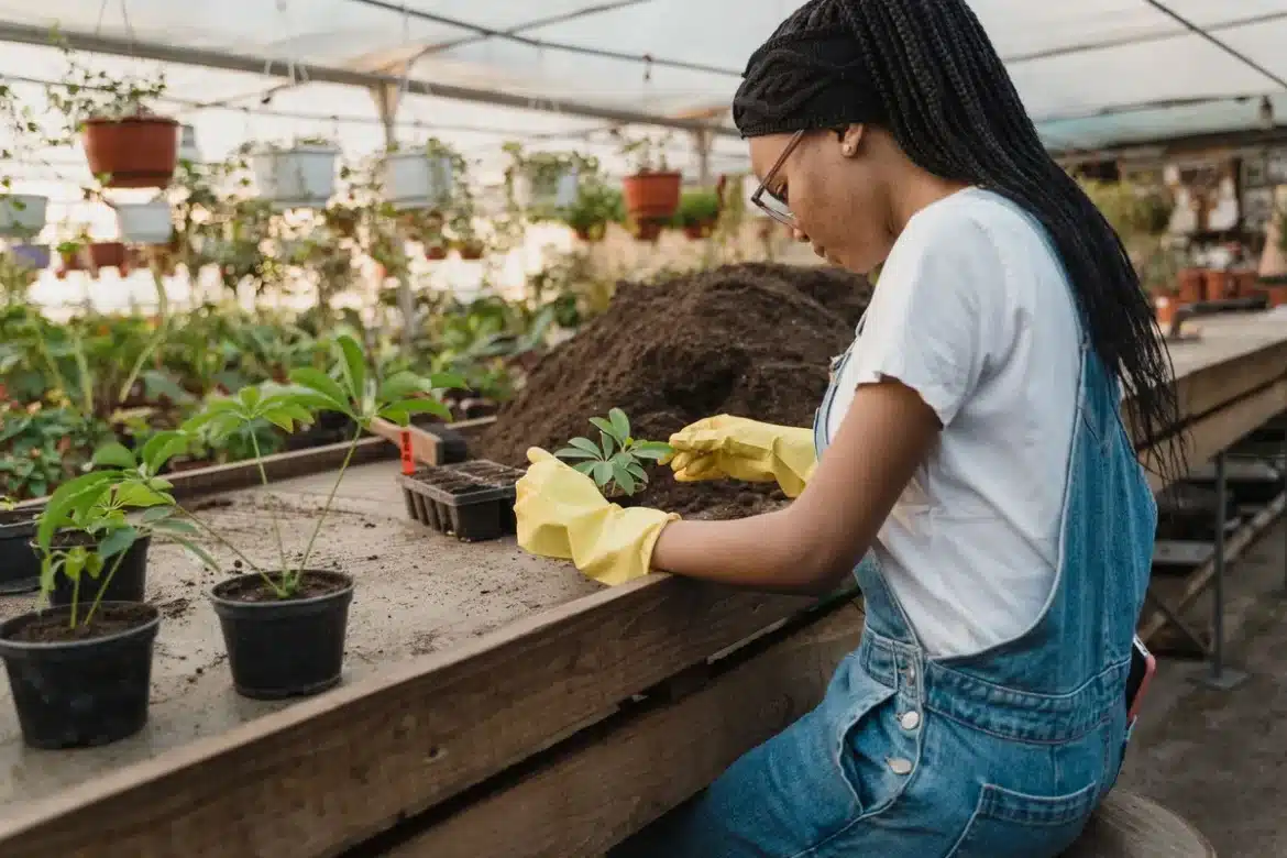 Mains de jardinier prélevant des boutures sur une plante verte avec un sécateur