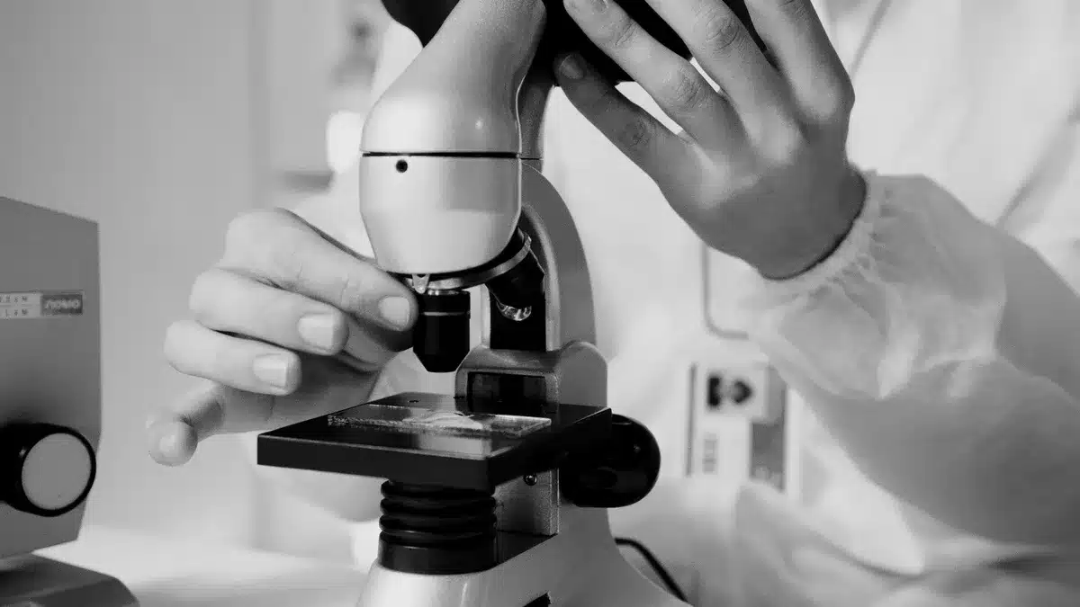 Examen détaillé d'un échantillon de papier peint ancien au laboratoire