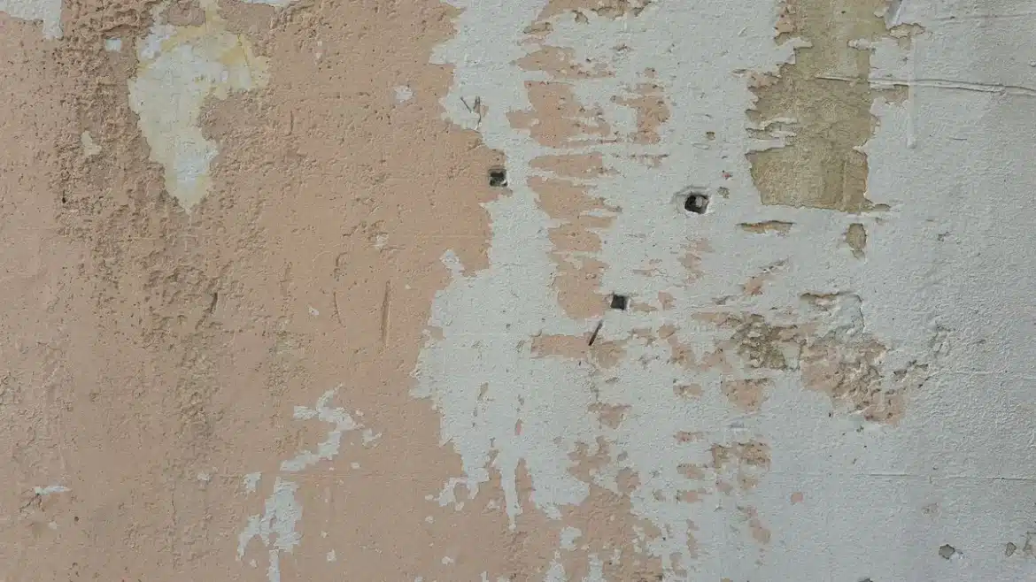 Mains découvrant délicatement un motif de papier peint ancien sous les couches modernes