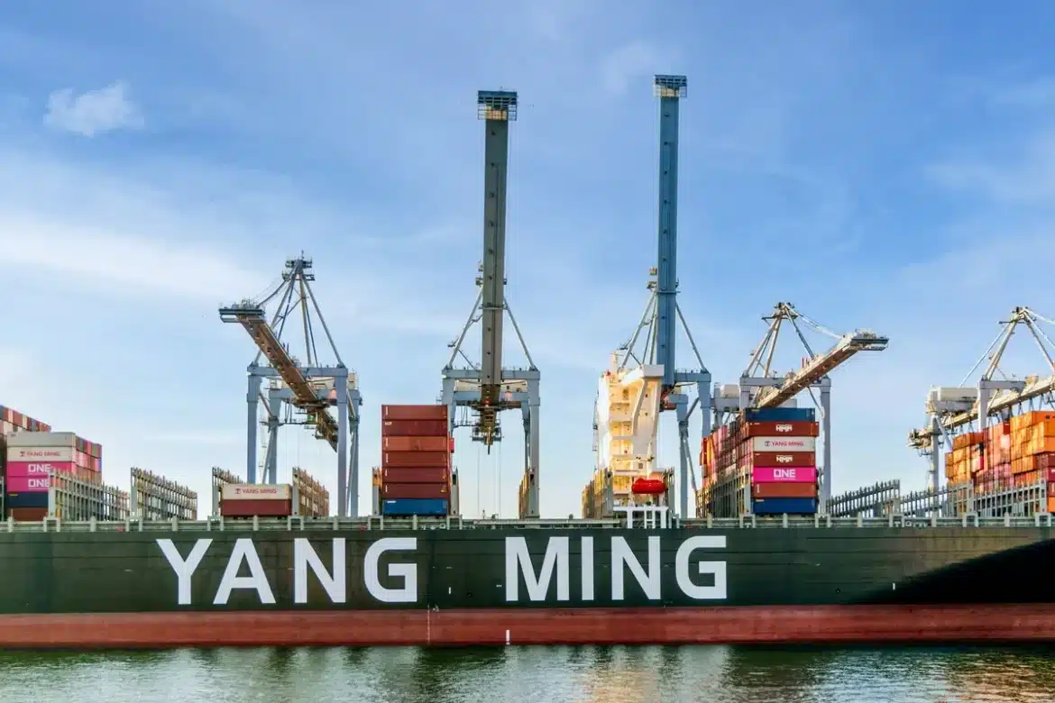 Conteneur de déménagement sur un quai portuaire avec navire cargo en arrière-plan