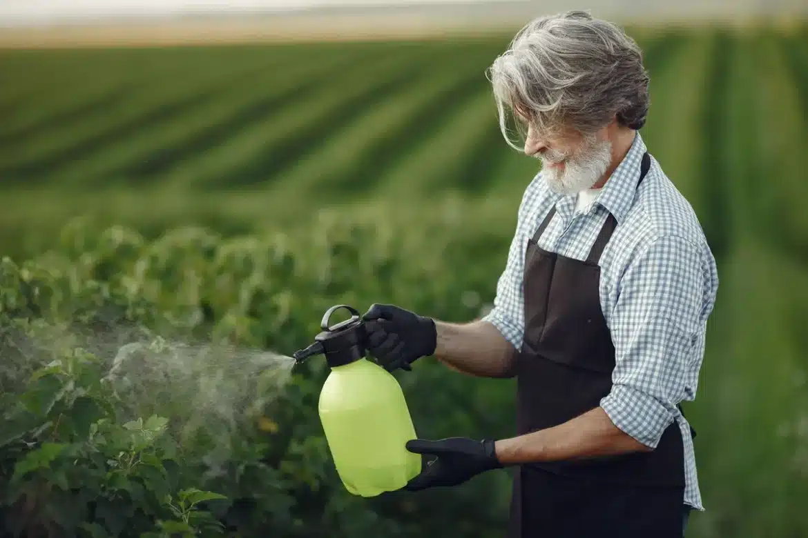 Mains d'un jardinier appliquant un engrais équilibré sur des fleurs et légumes en août
