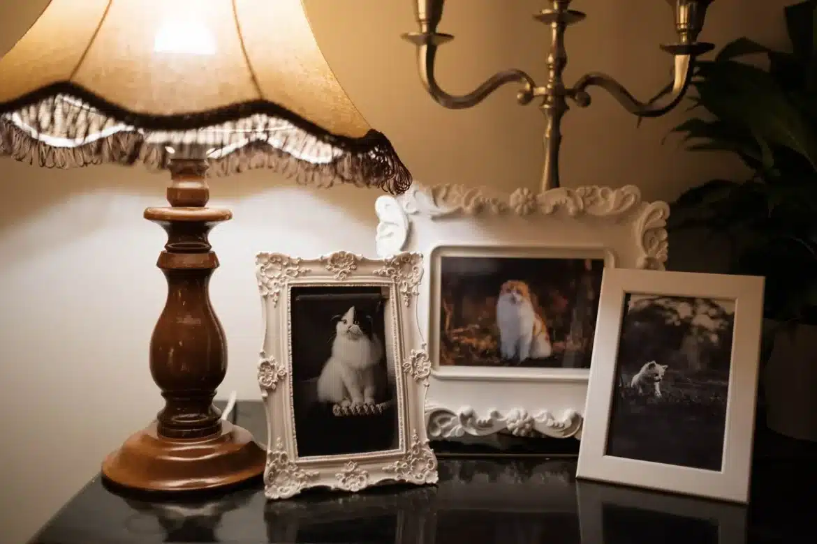 Chambre confortable dédiée aux animaux avec arbre à chat, lit pour chien et rangements organisés