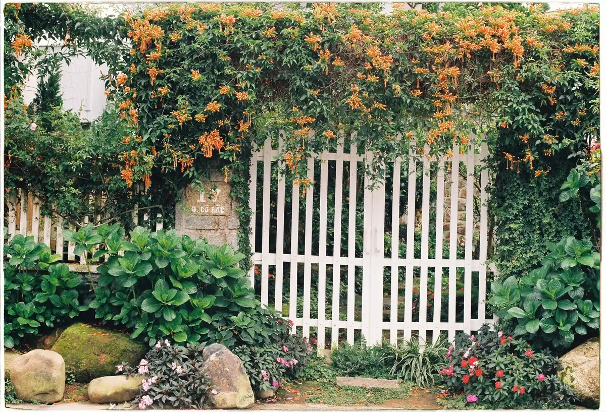 Pergola en bois peinte en vert sauge intégrée harmonieusement au jardin