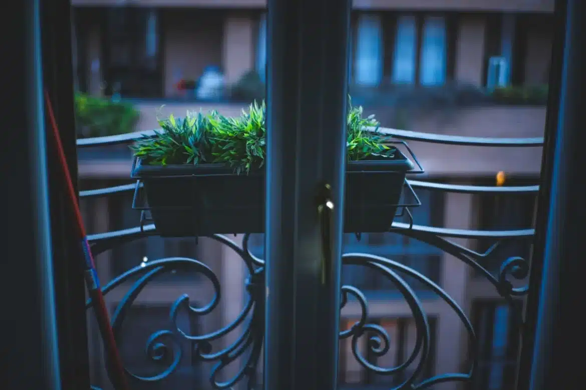 Semis de roquette en pot sur un balcon ensoleillé, mains versant des graines dans la terre