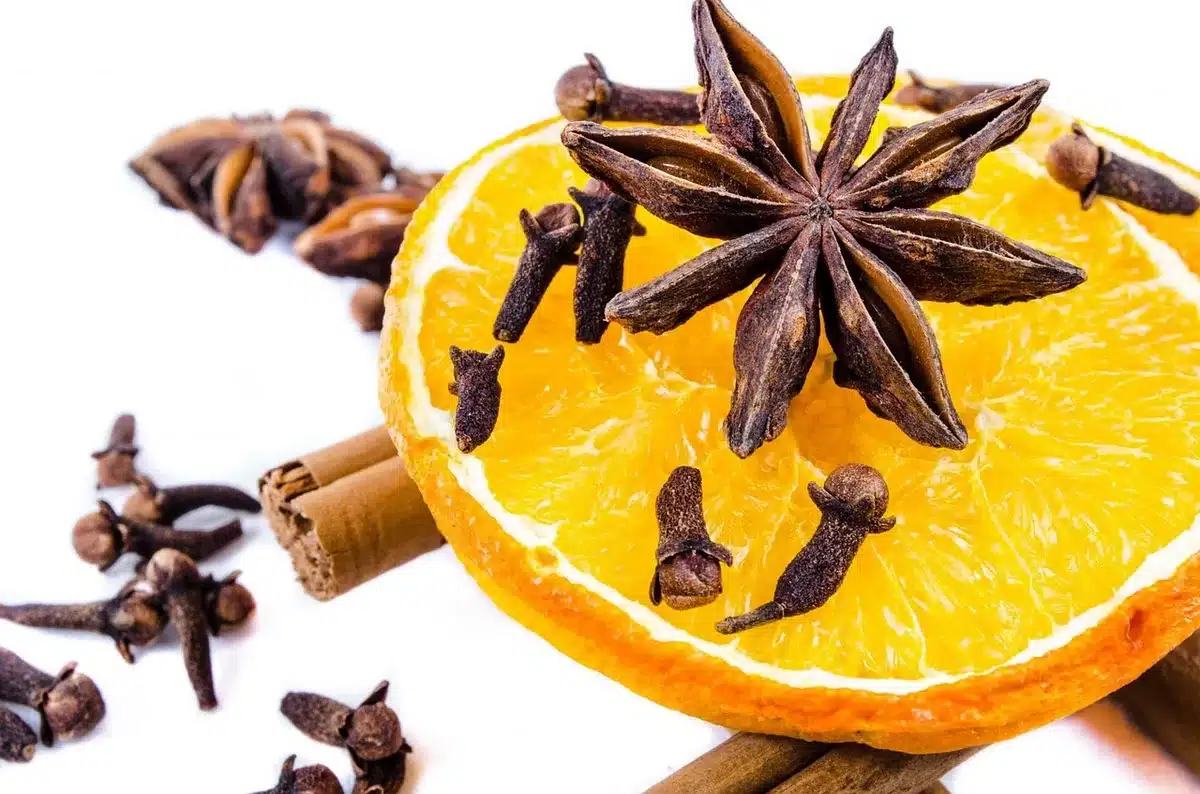 Ingrédients originaux: tranches d'orange séchées, étoiles de badiane et bâtons de cannelle