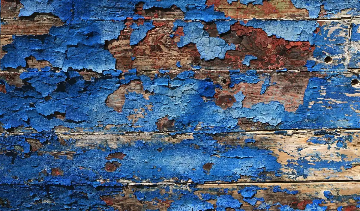 Carrés d'essai de peinture appliqués sur un mur sous lumière naturelle