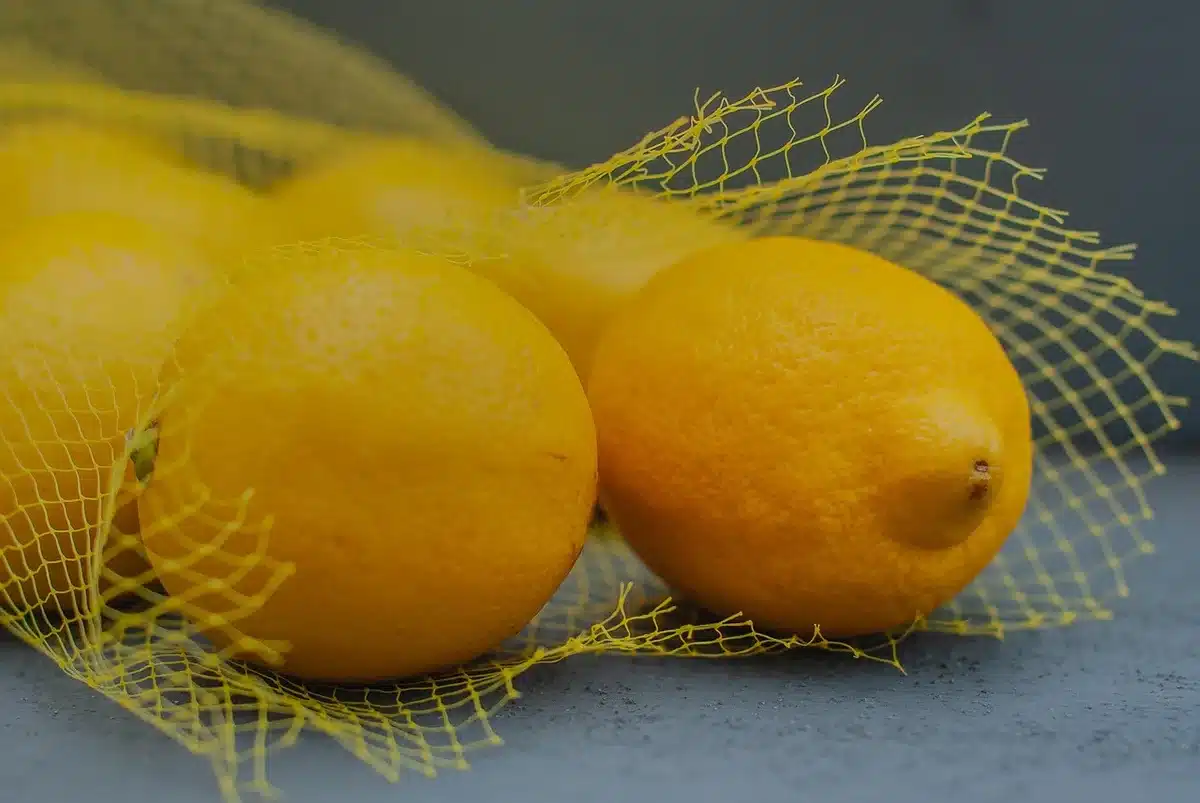 Vêtement dans un sac plastique placé dans un congélateur prêt pour congélation