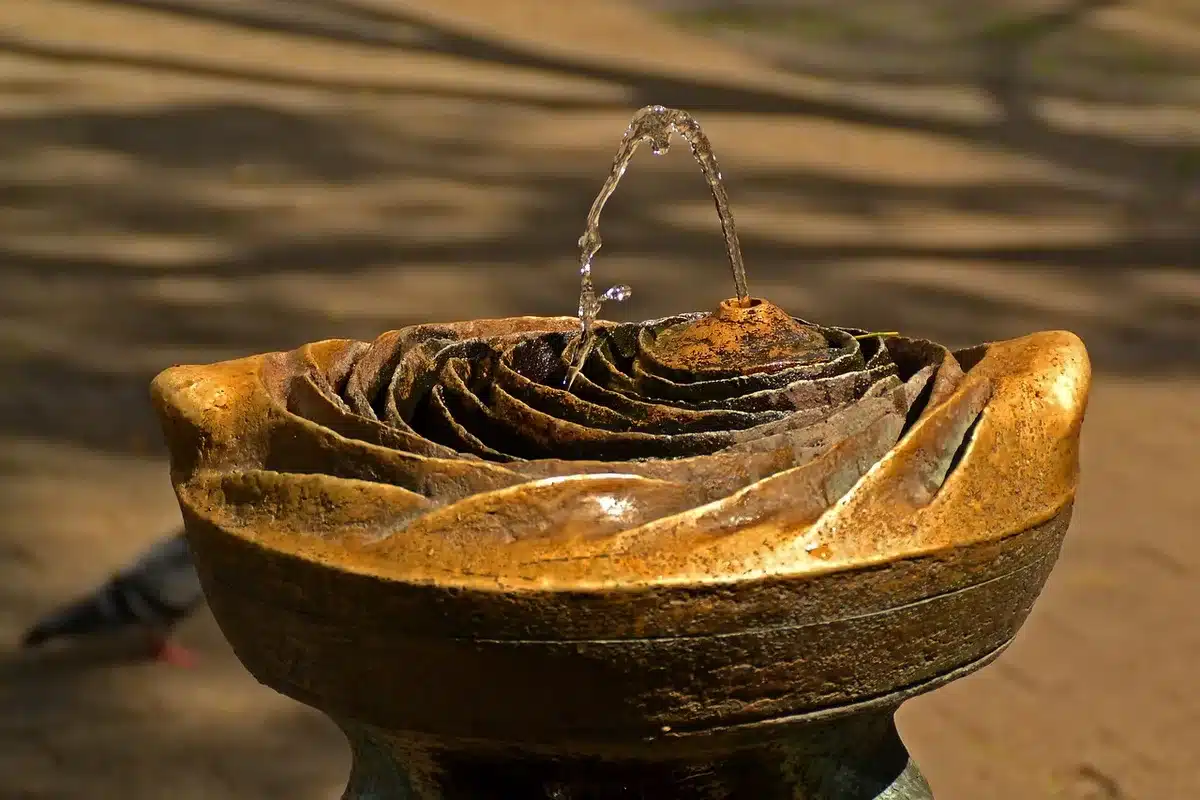 Bassin de jardin avec fontaine et traitement de l'eau