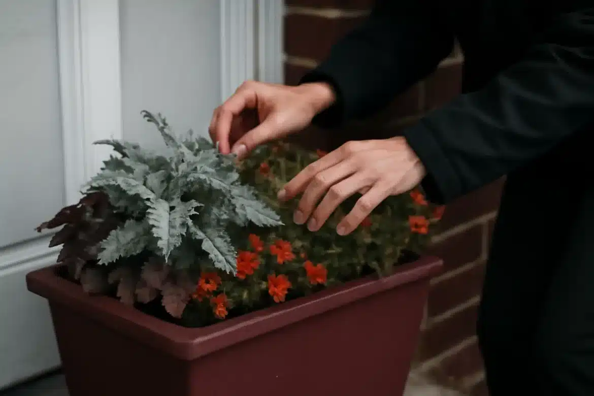 Comment styliser la jardinière bordeaux à 10 $ d'ALDI pour sublimer votre porche d'automne ?