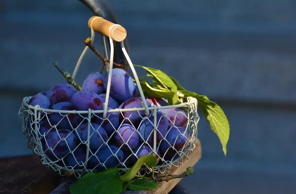 Entrée bien rangée avec crochets, panier à chaussures et vide-poches fonctionnel