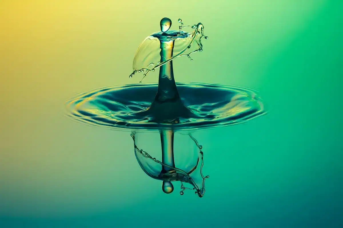 Flaques d'eau stagnante à la surface d'une pelouse après arrosage