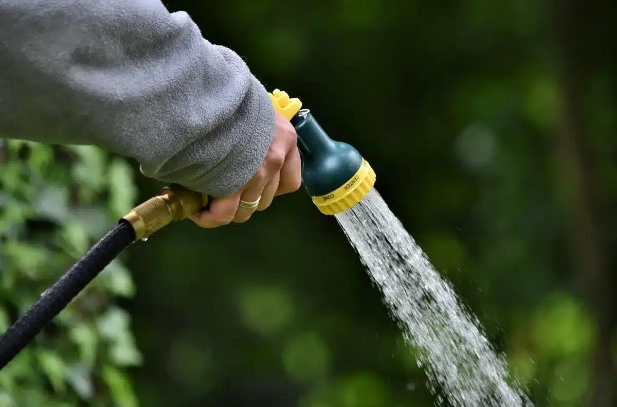 Doigt testant l'humidité du substrat d'une plante en pot avant arrosage