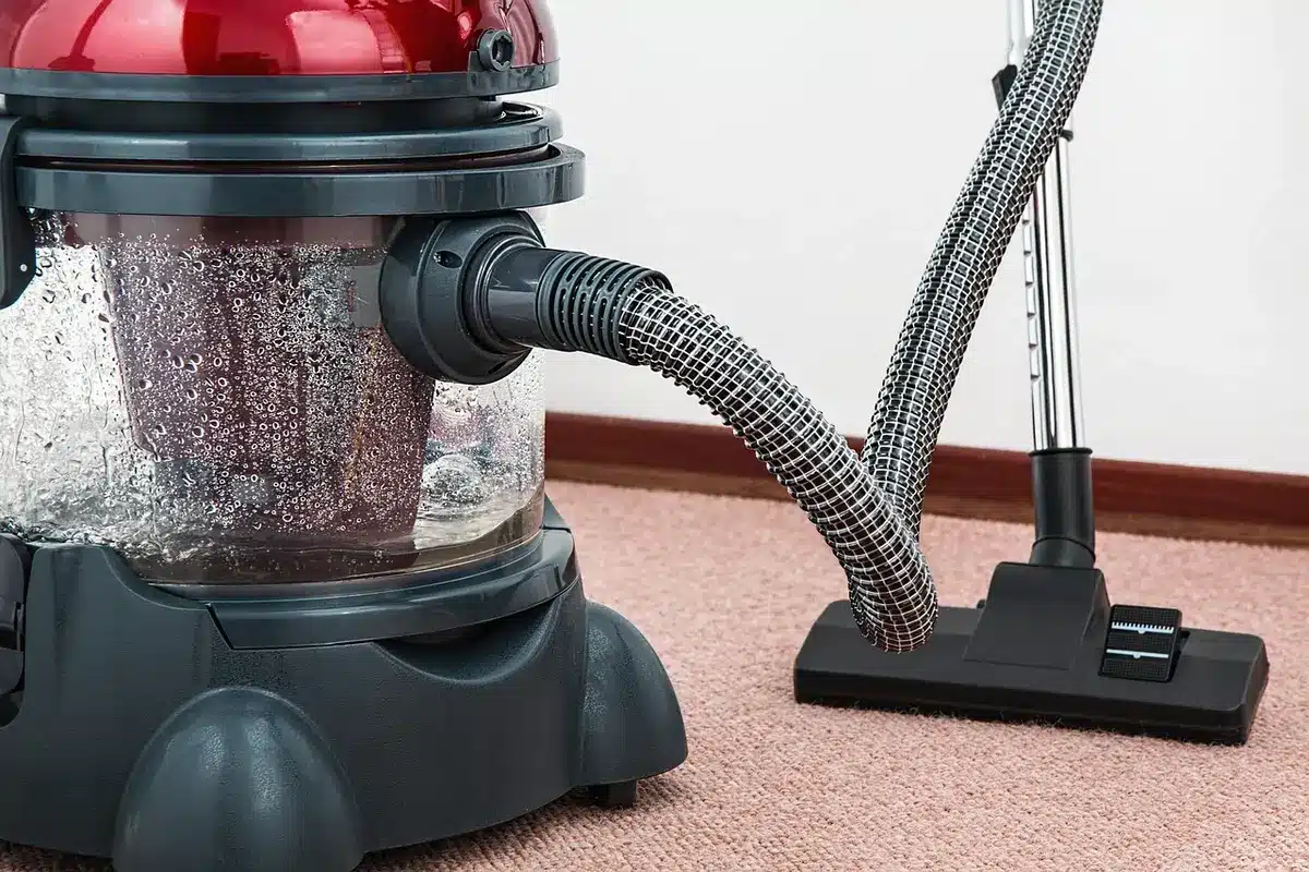 Nettoyage des feuilles d'une plante d'intérieur avec un chiffon humide doux
