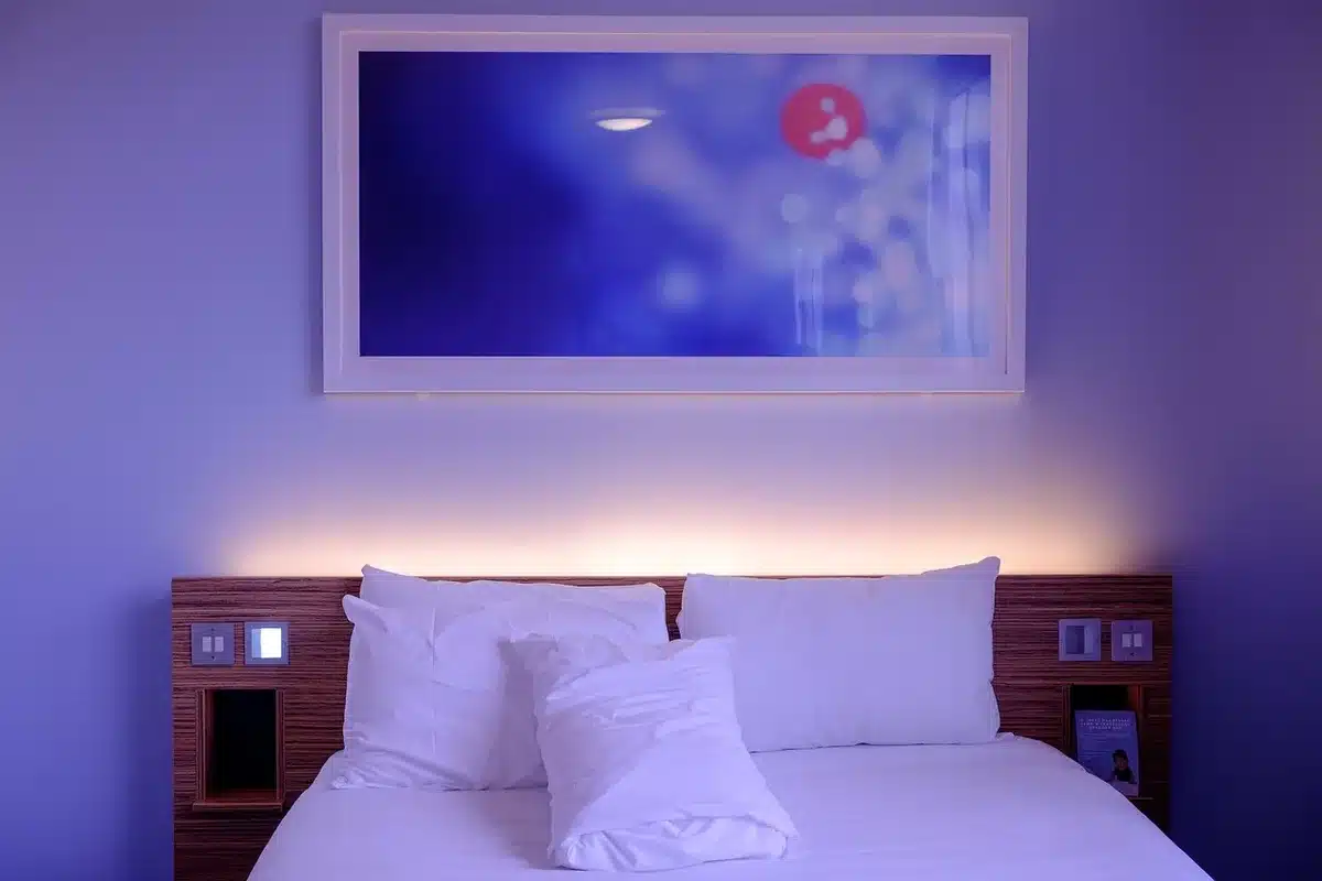 Canapé-lit moderne déployé dans un petit salon lumineux