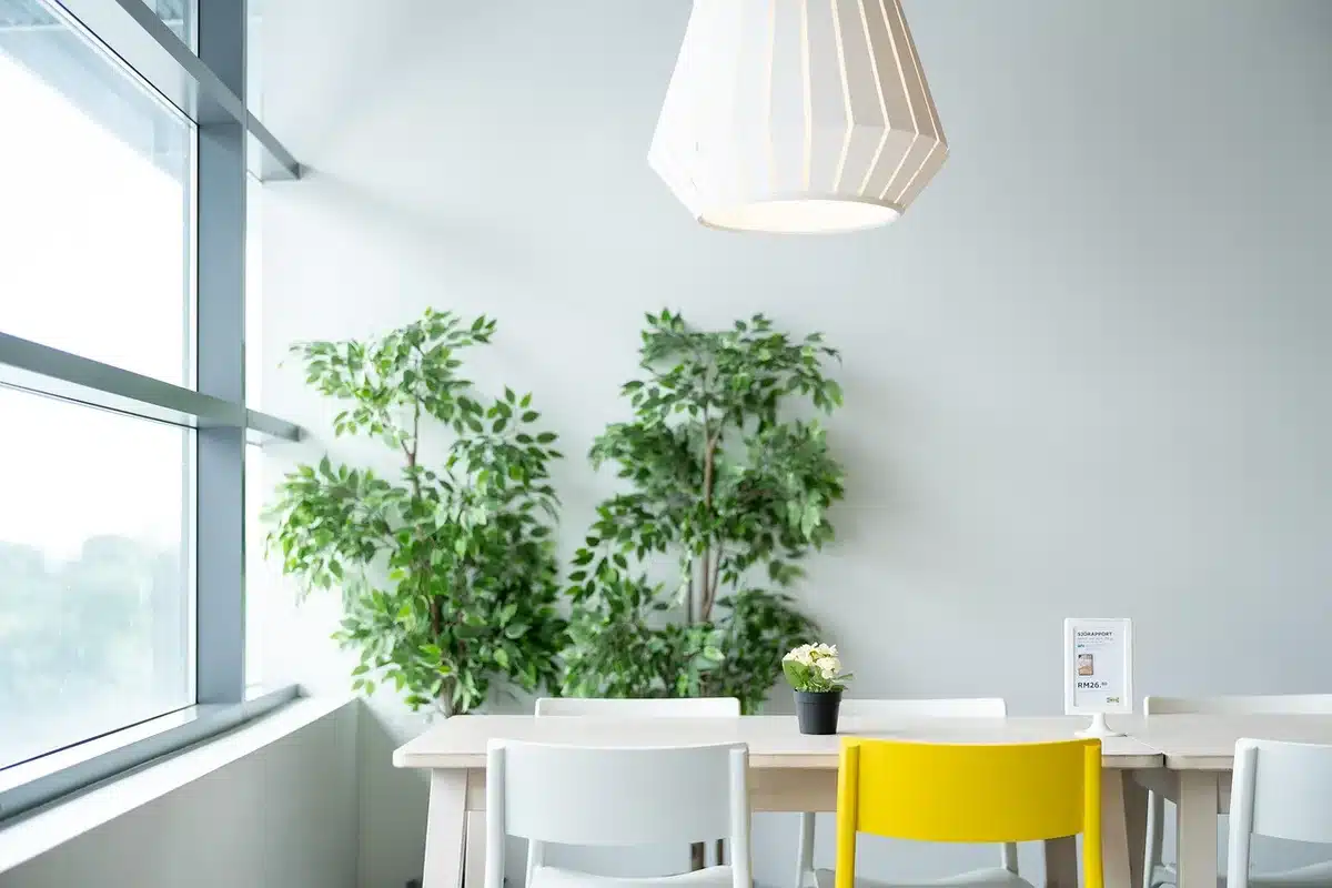 Petit humidificateur posé à côté de plantes en pot sur une table