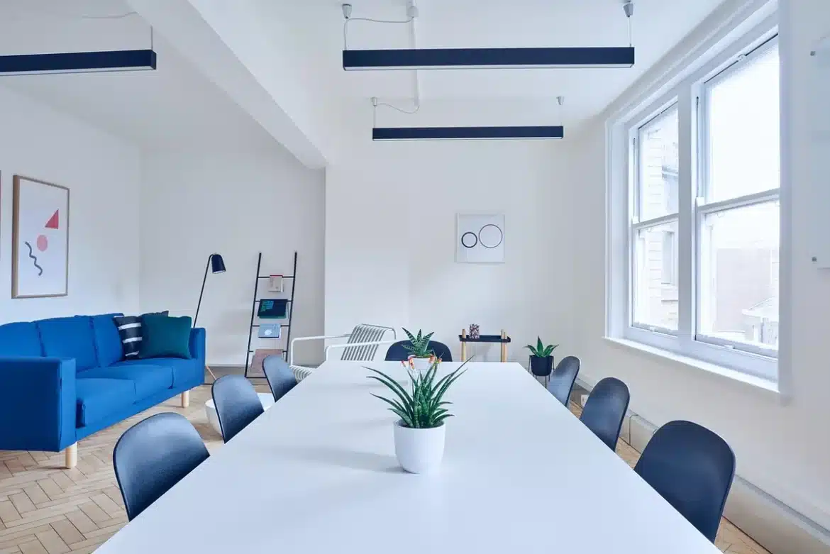 Salon en plein jour avec plantes en pot sur un rebord de fenêtre et un petit humidificateur sur une table