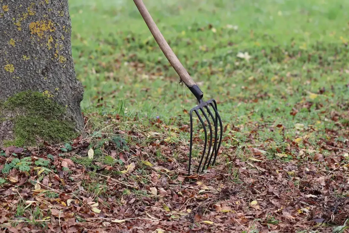 Râteau appuyé près d'un tas de feuilles sur une pelouse en plein jour