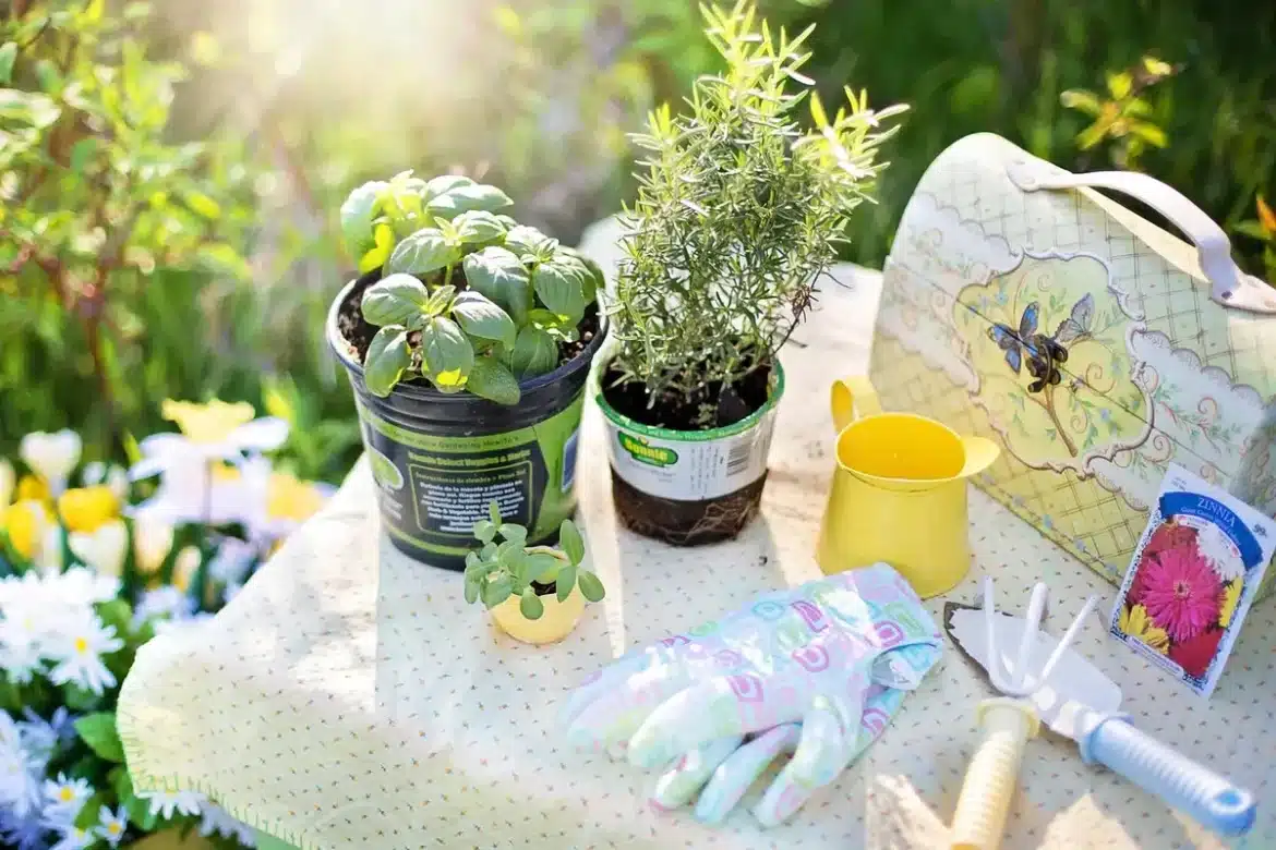 Table de jardinage en plein jour avec sachets de graines étiquetés et outils