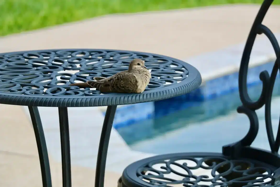Pots de jardin protégés par de la jute et outils posés sur une terrasse en plein jour