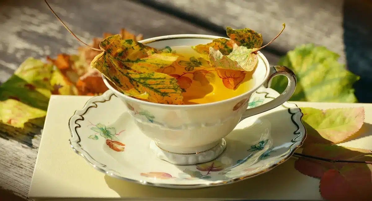 Gros plan d'une boîte en porcelaine au design épuré